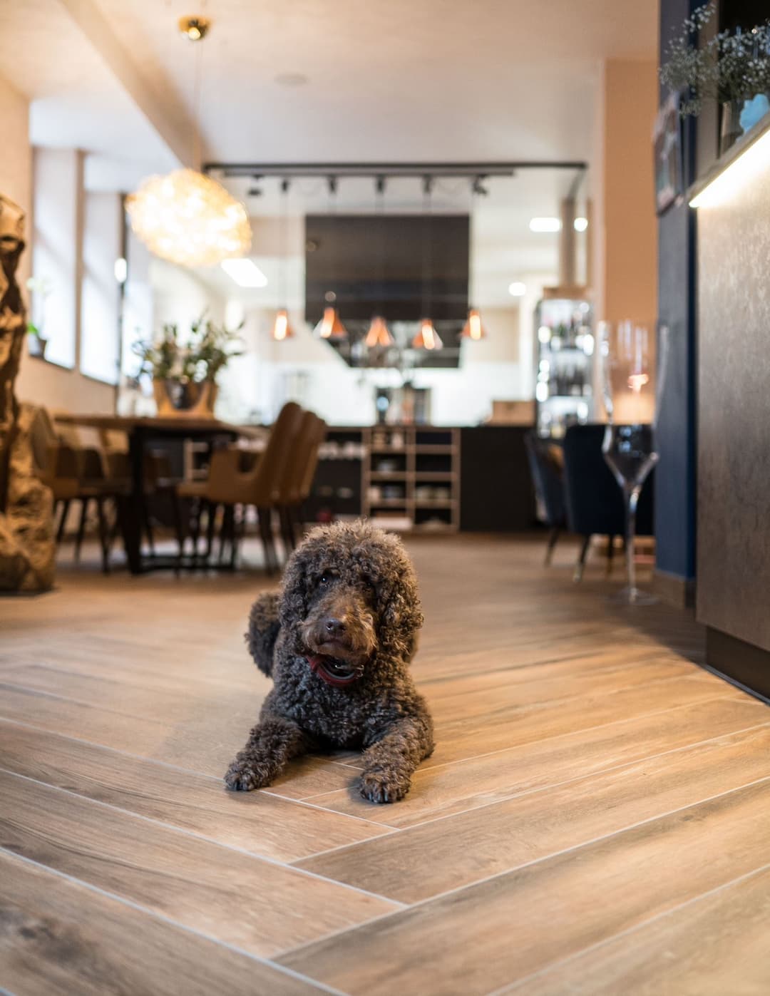 Hundefreundliches Restaurant